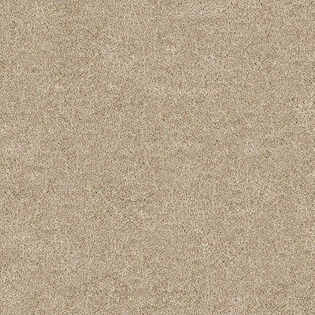 Darius Saxony Carpet