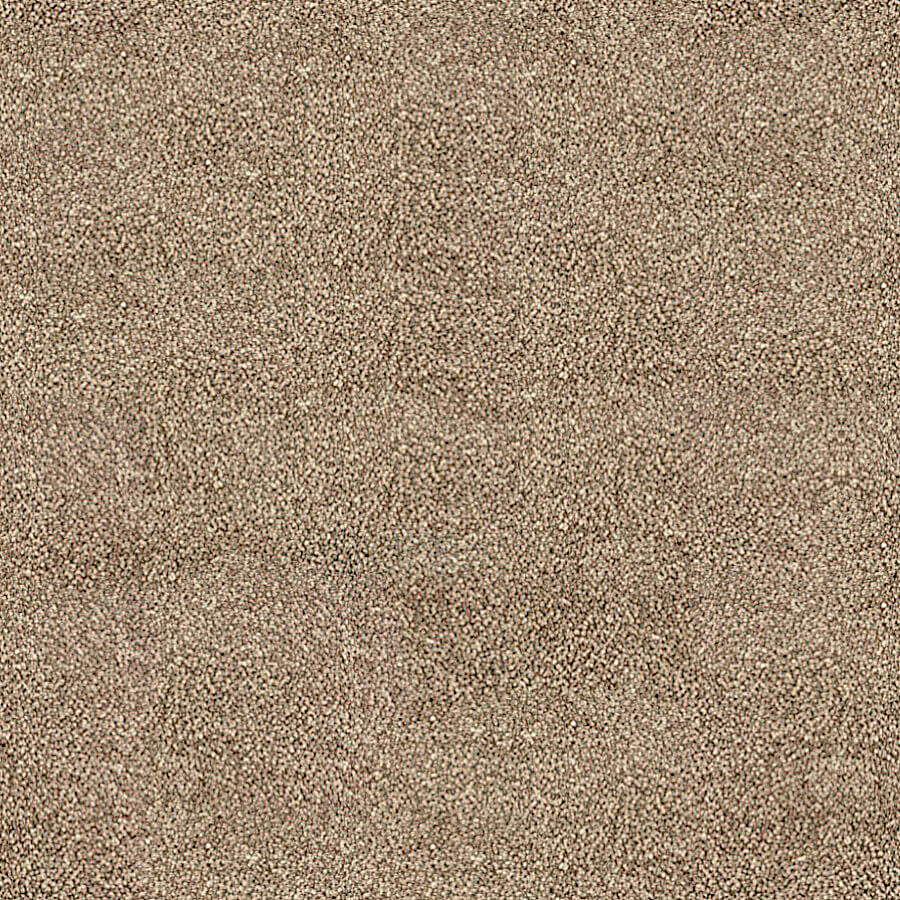 Darius Saxony Carpet