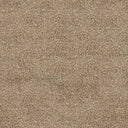 Darius Saxony Carpet