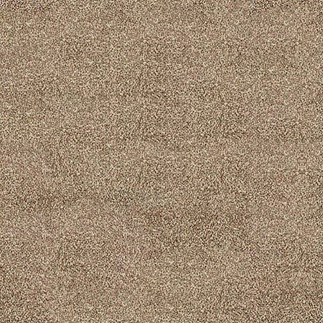 Darius Saxony Carpet