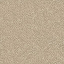 Centurion Carpet