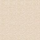 Orion Saxony Carpet