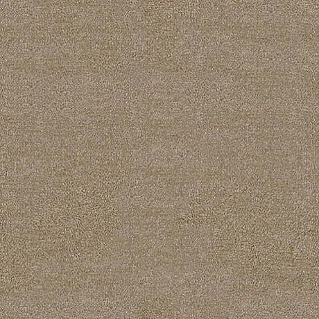 Severus Carpet