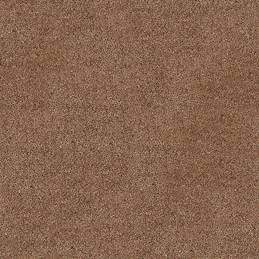 Darius Saxony Carpet