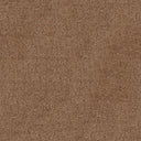 Darius Saxony Carpet