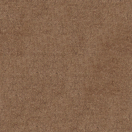 Darius Saxony Carpet
