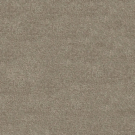 Septimus Carpet