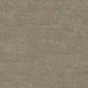 Severus Carpet