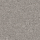 Severus Carpet