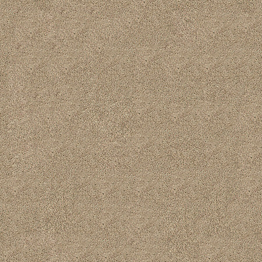 Darius Saxony Carpet