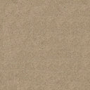 Darius Saxony Carpet