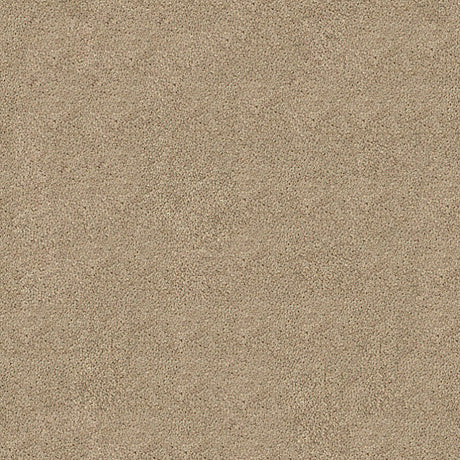 Darius Saxony Carpet