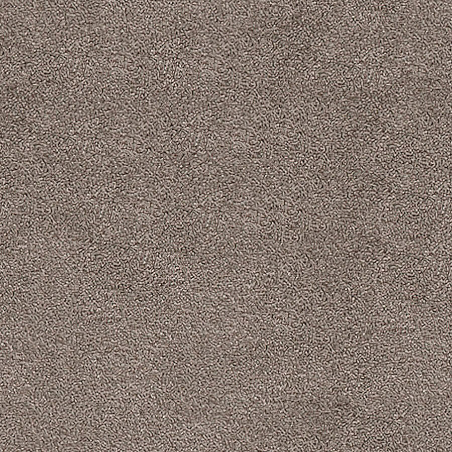 Severus Carpet