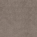 Septimus Carpet