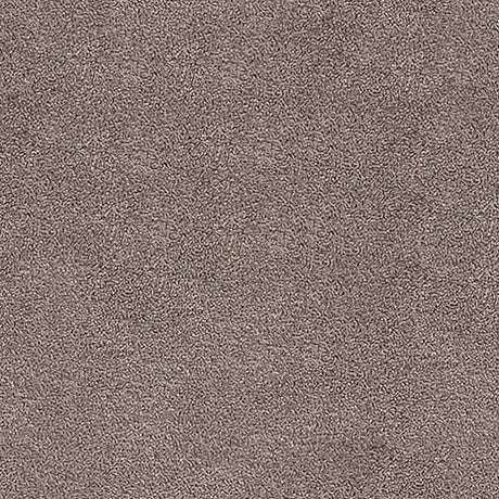 Septimus Carpet