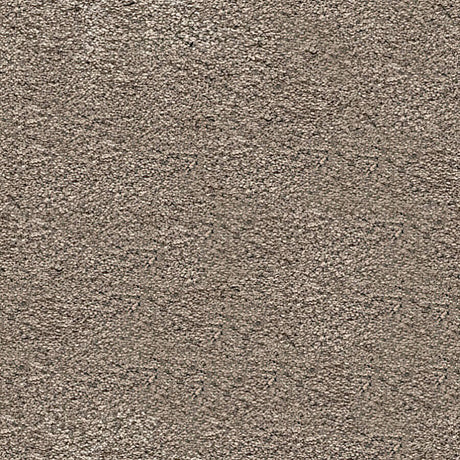 Tiberius Carpet
