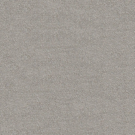 Severus Carpet