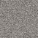 Orion Saxony Carpet