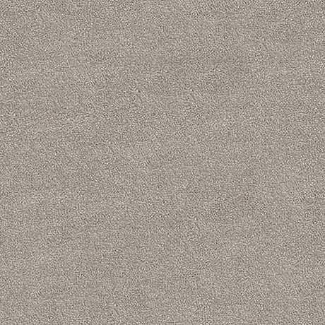 Septimus Carpet
