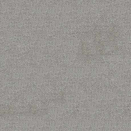Darius Saxony Carpet