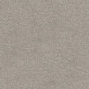 Darius Saxony Carpet