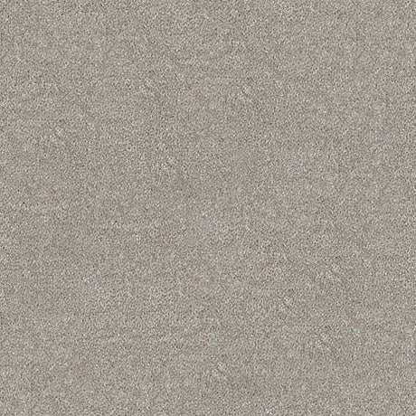 Darius Saxony Carpet