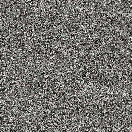 Severus Carpet