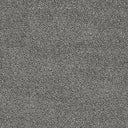 Septimus Carpet