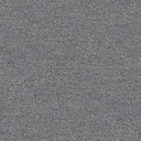 Septimus Carpet