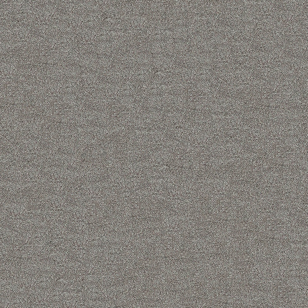 Darius Kale (1.00m x 5.00m) Remnant