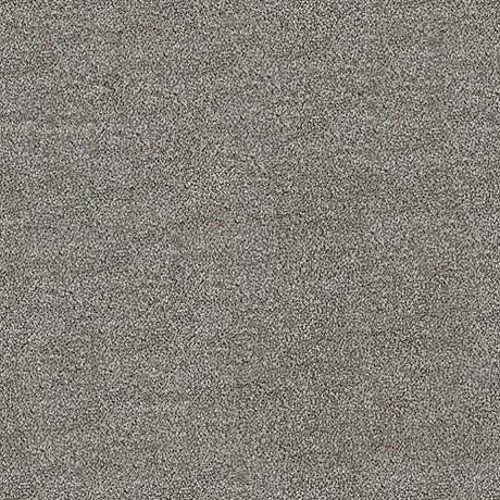 Darius Saxony Carpet
