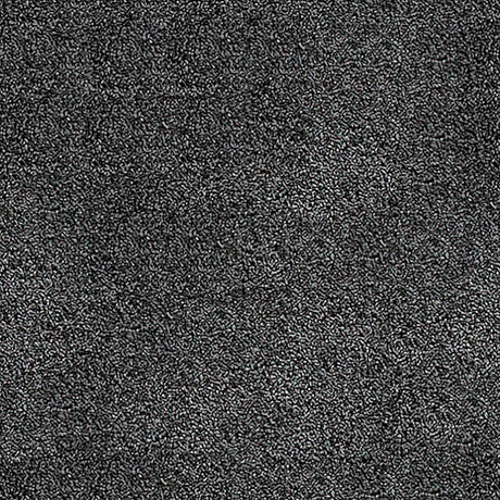 Septimus Carpet