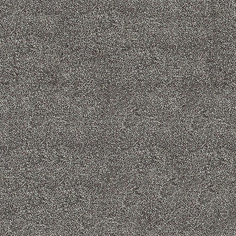 Darius Saxony Carpet