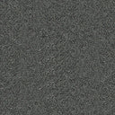Centurion Carpet