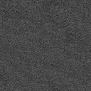 Darius Saxony Carpet