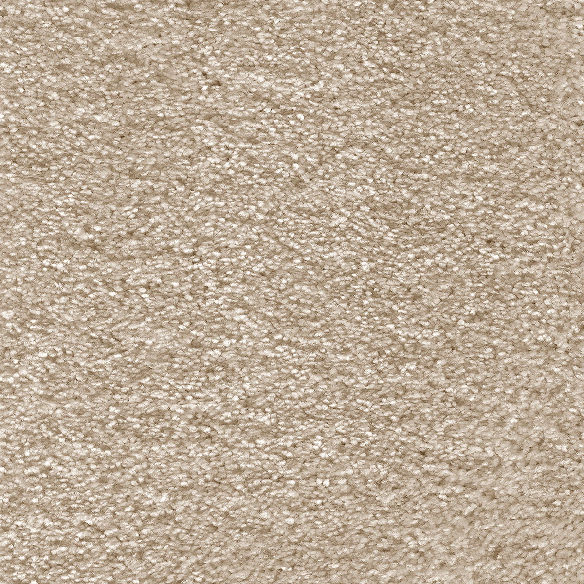 Aurelius Carpet