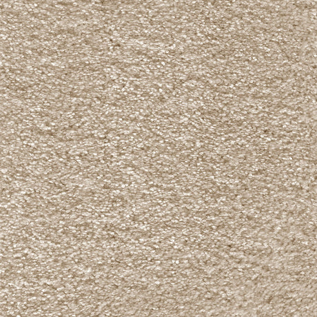 Aurelius Carpet