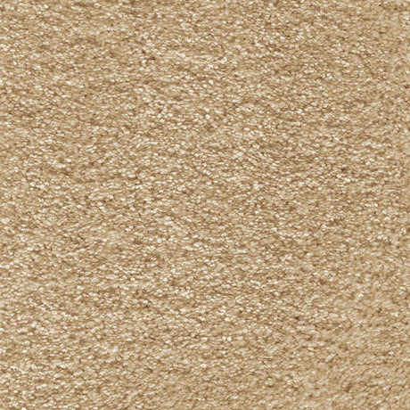 Aurelius Carpet