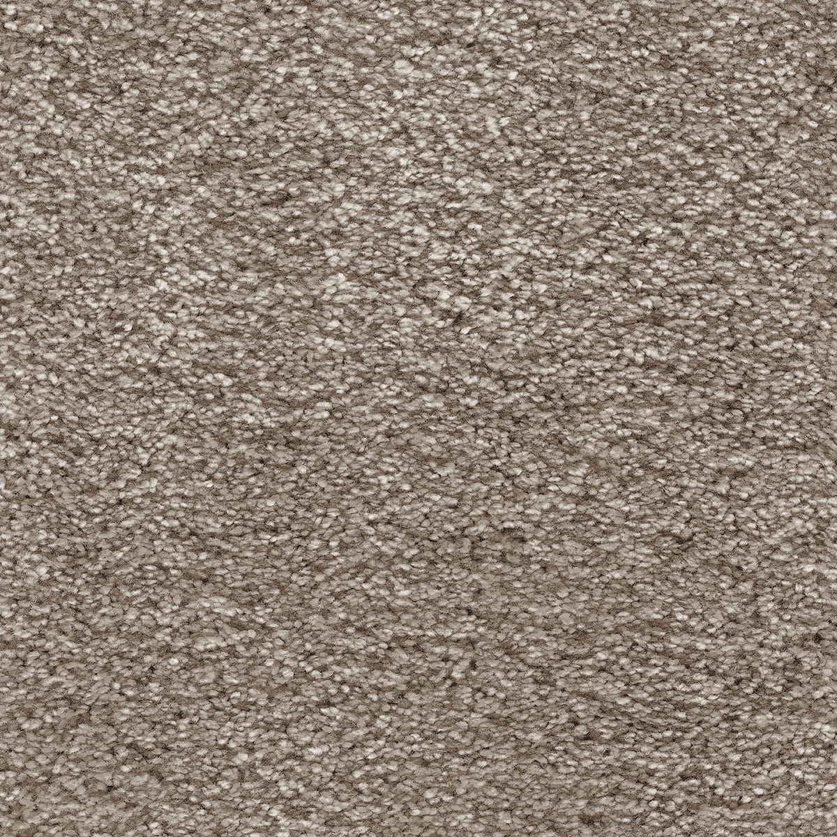 Aurelius Carpet