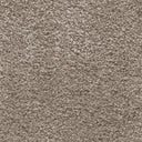 Aurelius Carpet