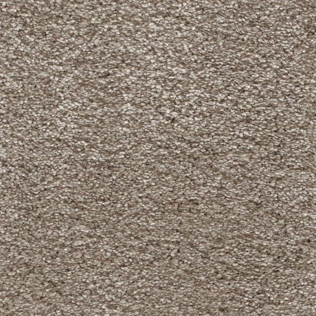 Aurelius Carpet