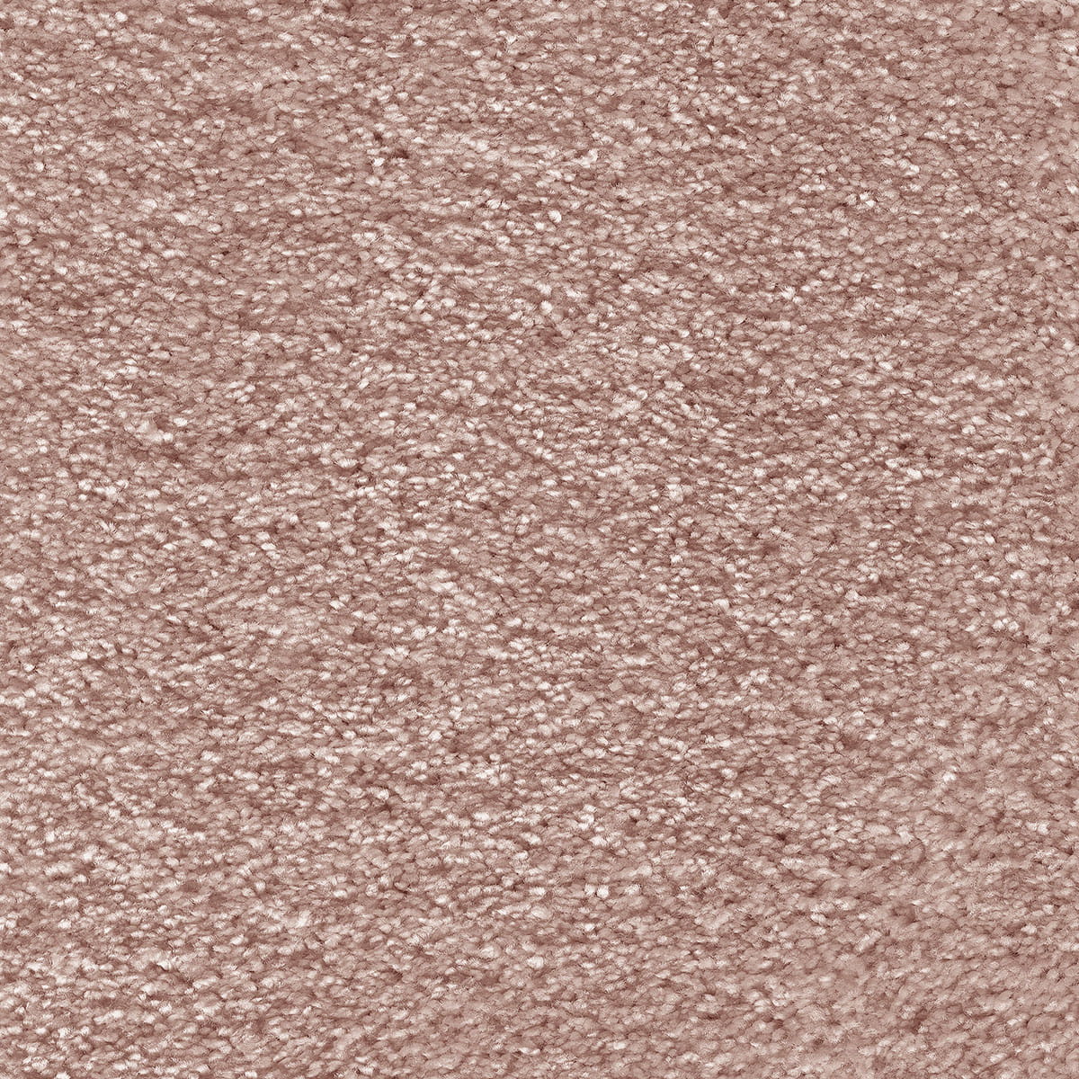 Aurelius Carpet