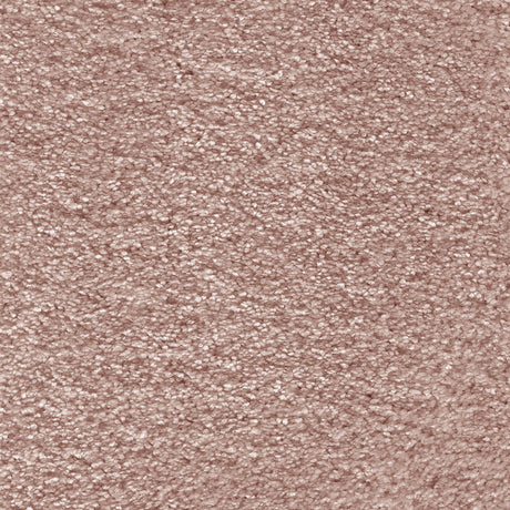 Aurelius Carpet