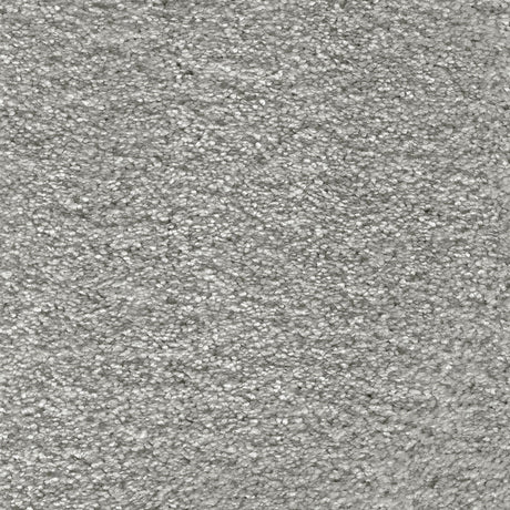 Aurelius Carpet