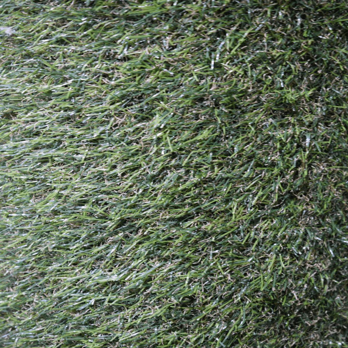Akina Grass (3.00m x 4.00m) M007632