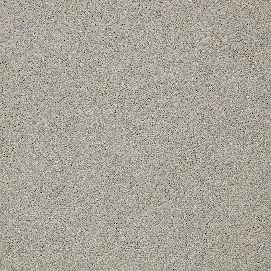 Primo Plus Carpet