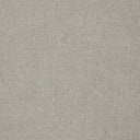 Primo Plus Carpet