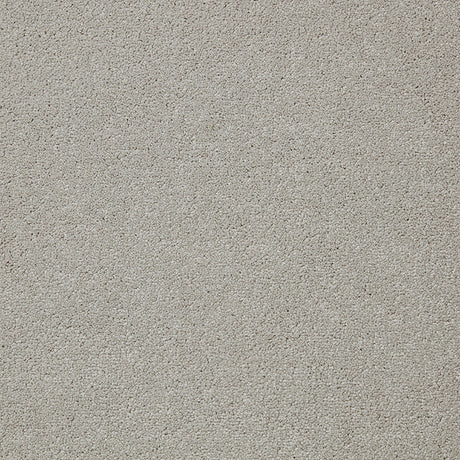 Primo Plus Carpet