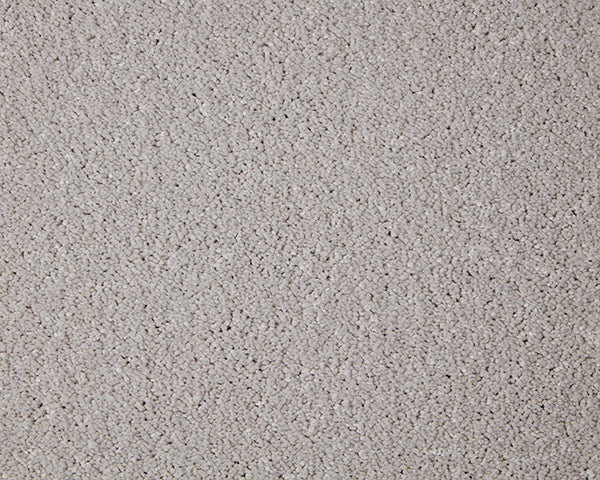 Primo Grande Carpet