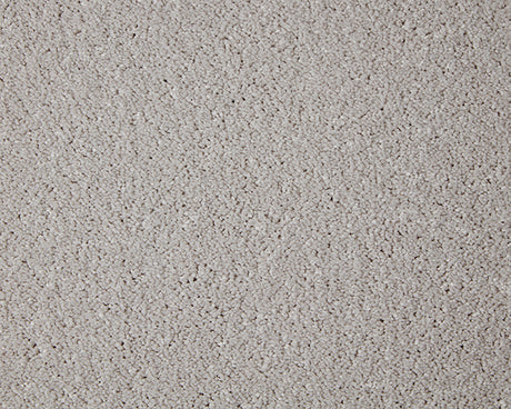 Primo Grande Carpet